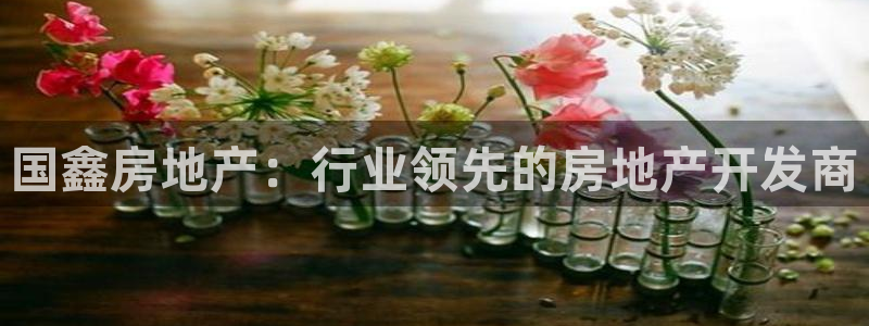 万向娱乐