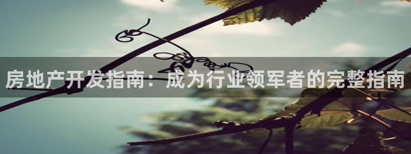 万向娱乐平台下载安装