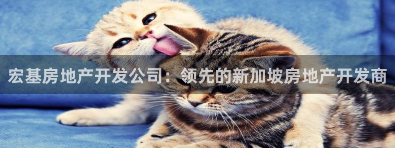 万向娱乐招商