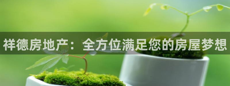 万向娱乐的494o3 主管