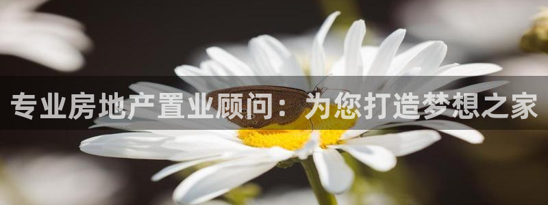 万向娱乐app下载安装