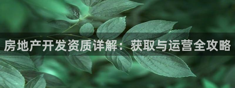万向娱乐官网下载安装手机版