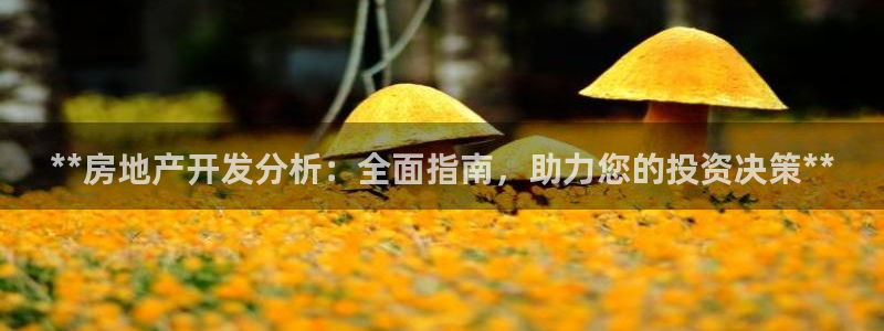 万向娱乐王者荣耀