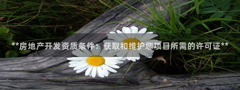 万向娱乐平台好不