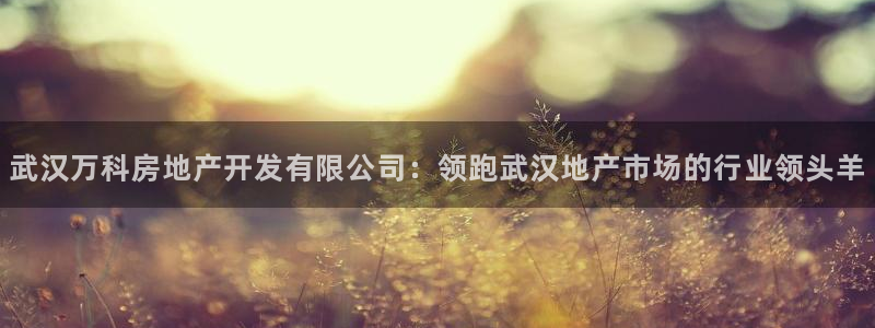万向娱乐灯333OO