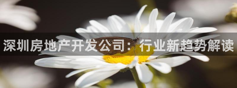 万向娱乐技术