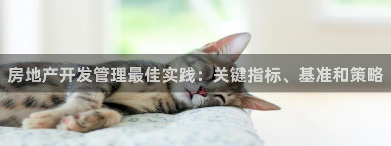万向娱乐登陆官网入口