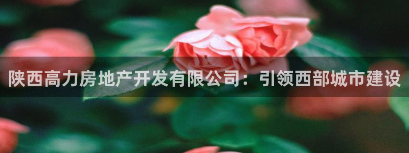 万向娱乐平台代理怎么样